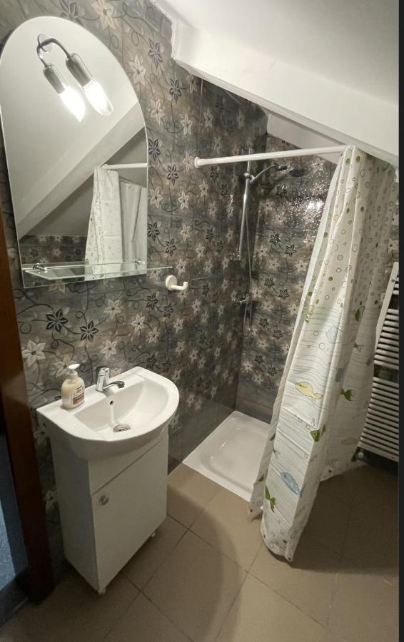 Z House Apartament Sibiu